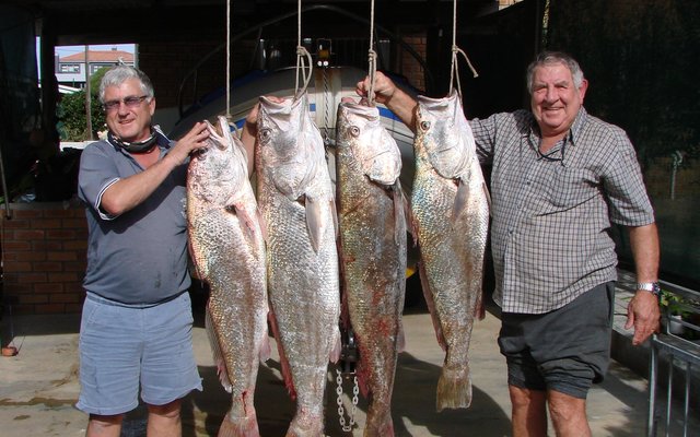 Wyle Andries Carstens (regs) saam met Johan Burmeister met hulle Kabeljoue wat hulle by die Moddergate gevang het, met wyle Andries wat op daardie stadium 2 jaar laas op see uit was